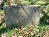 image of grave number 189393